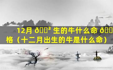 12月 🌳 生的牛什么命 🐒 格（十二月出生的牛是什么命）